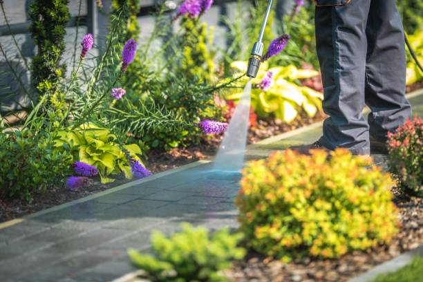  Las Lomas, CA Pressure Washing Pros